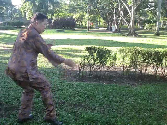 Sun Style Taijiquan